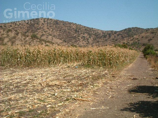 Sitio en Venta, Colina