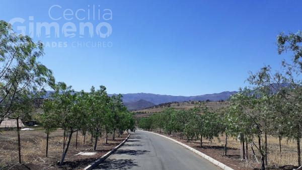 Sitio en Venta, Chacabuco