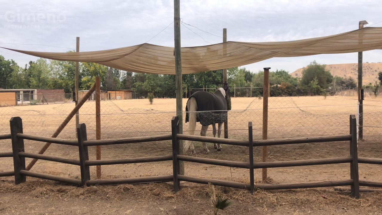 Sitio en Venta, Chicureo Oriente